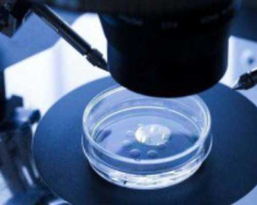 广州供卵试管代怀生子医院排名，附供卵生男孩费用一览！-有代怀生男孩