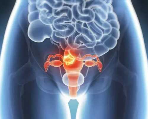 亲戚供卵合法吗_供卵中介费用,黑龙江省齐齐哈尔2026年最新供卵试管助孕医院排