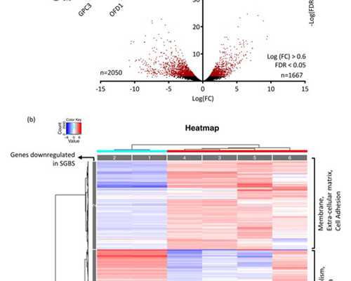 供卵供卵代怀个人条件_供卵广告是假的吗,定西供