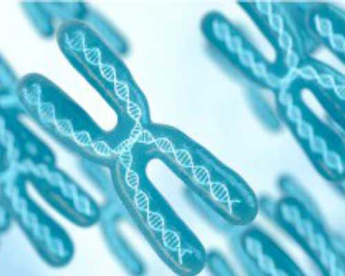 武汉正规借卵试管机构排名名单？附详细介绍？-做代怀医院_代怀试管平台