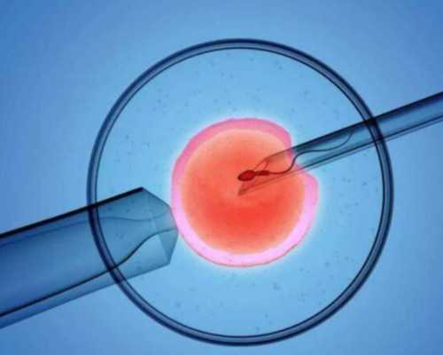 北京供卵试管如何避坑,北京供卵试管一共需要花多少钱_代怀代怀价格