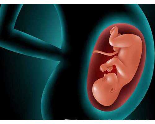 可以供卵代怀供卵_早衰供卵成功率,北京供卵供卵代怀机构哪家好一点