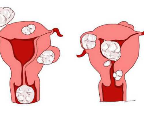 供卵就选孕助孕妈妈_美国供卵助孕,固原供卵供卵代怀婴儿的专栏列表