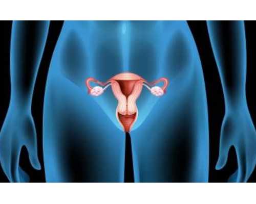 供卵试管生子_试管三代的苦,试管婴儿成功案例过程试管助孕一次成功