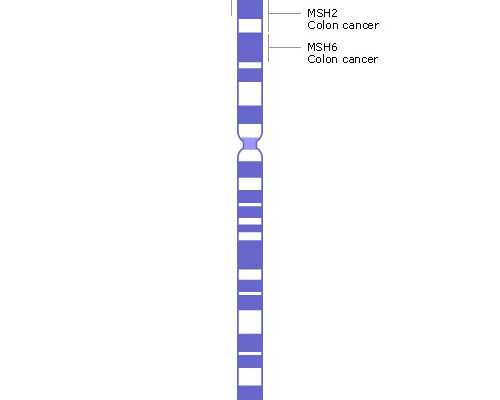 试管供卵多钱_正规供卵试管,试管婴儿单身女士国外,单身女性试管婴儿