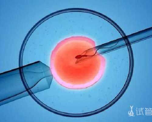 试管捐卵贴吧_供卵试管医院,成都供卵试管婴儿价格,珠海供卵试管婴儿