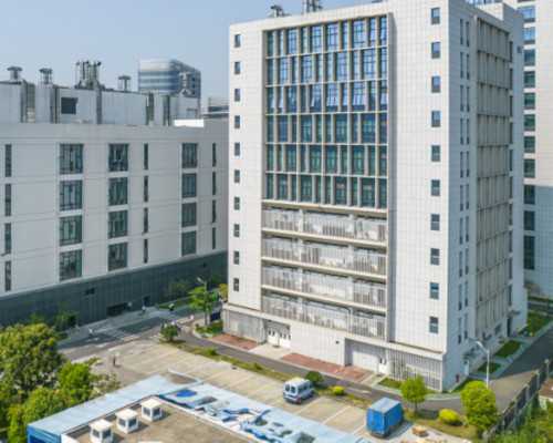 <strong>重庆代怀代怀多少钱 重庆第三代试管的费用怎样的? ‘32周双顶径看男女’</strong>