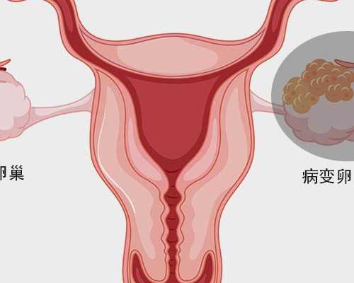 合法供卵_医院供卵成功,广东省肇庆市2026年最新供卵试管助孕医院排名汇总，内