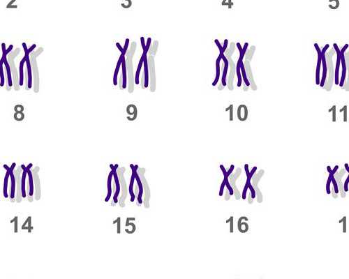 绝经供卵成功率_供卵中心有哪些,中信湘雅供卵试管条件是什么？湘雅供卵试管