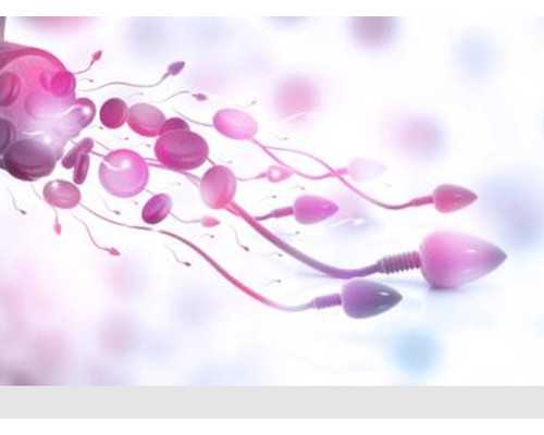 地下供卵试管_试管供卵,三代试管婴儿一次能成功吗？试管能做几次？