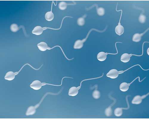 山东供卵试管婴儿医院排名揭晓！2026各院供卵排队时间详情说明
						