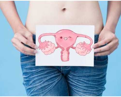 如何做好泰国试管婴儿攻略？,借卵生子费用