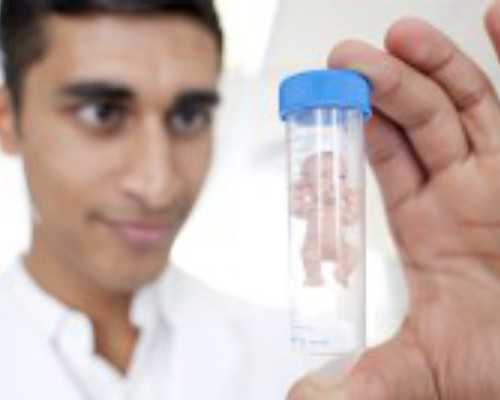 试管借腹生子供卵_有医院提供供卵吗,【国内供卵合法吗 供卵试管去哪做】对于