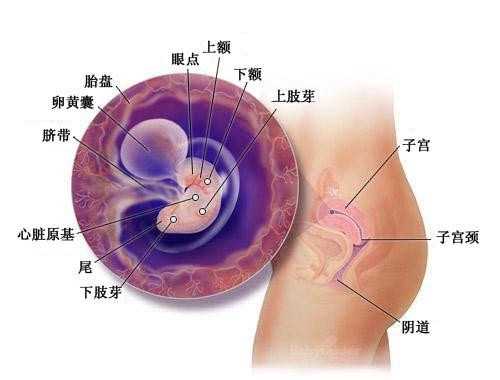 上海代孕最低10万_上海有私人找代孕妈妈吗_加州生殖生育中心-代孕微信交流群